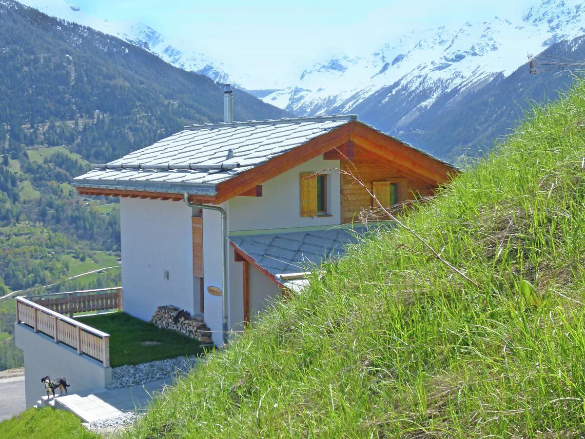 Mountain-View Chalet In Heremence With Terrace エクステリア 写真